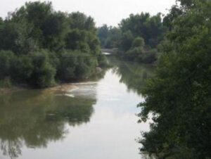 170519 141697 20859 9573 pinios