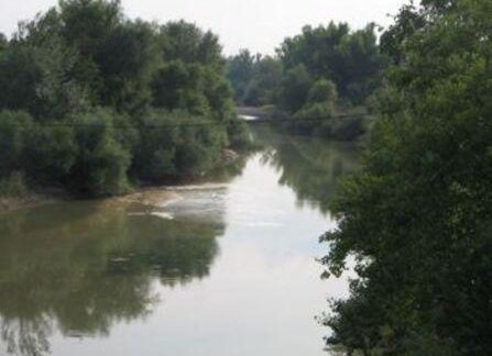 170519 141697 20859 9573 pinios