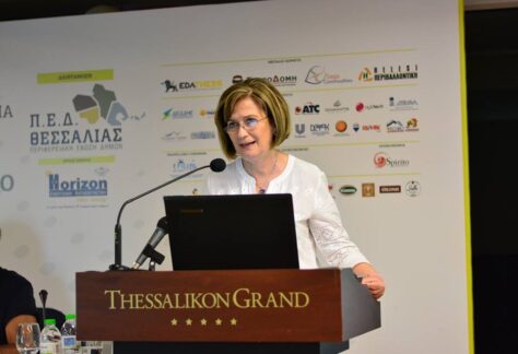 170613 ped klimatikh