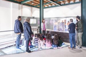 190326 mouseio sitiron