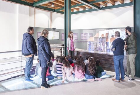 190326 mouseio sitiron