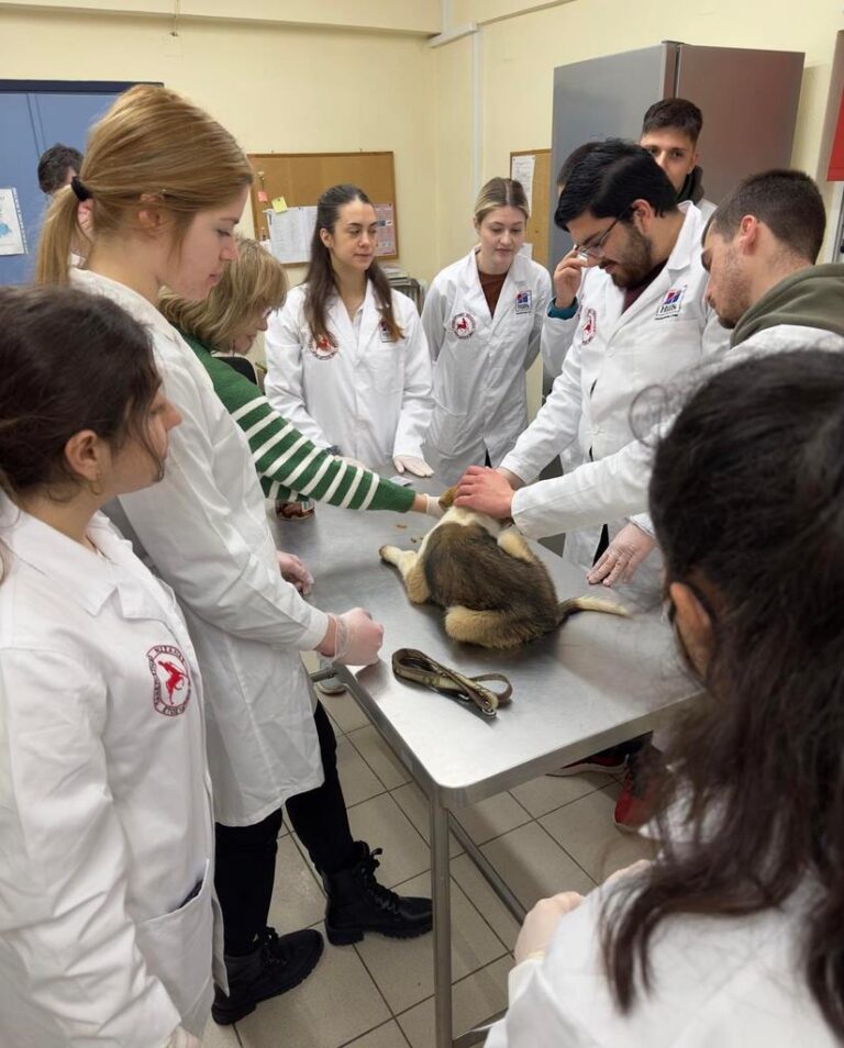 230328 dimotiko katafygio episkepsi 1