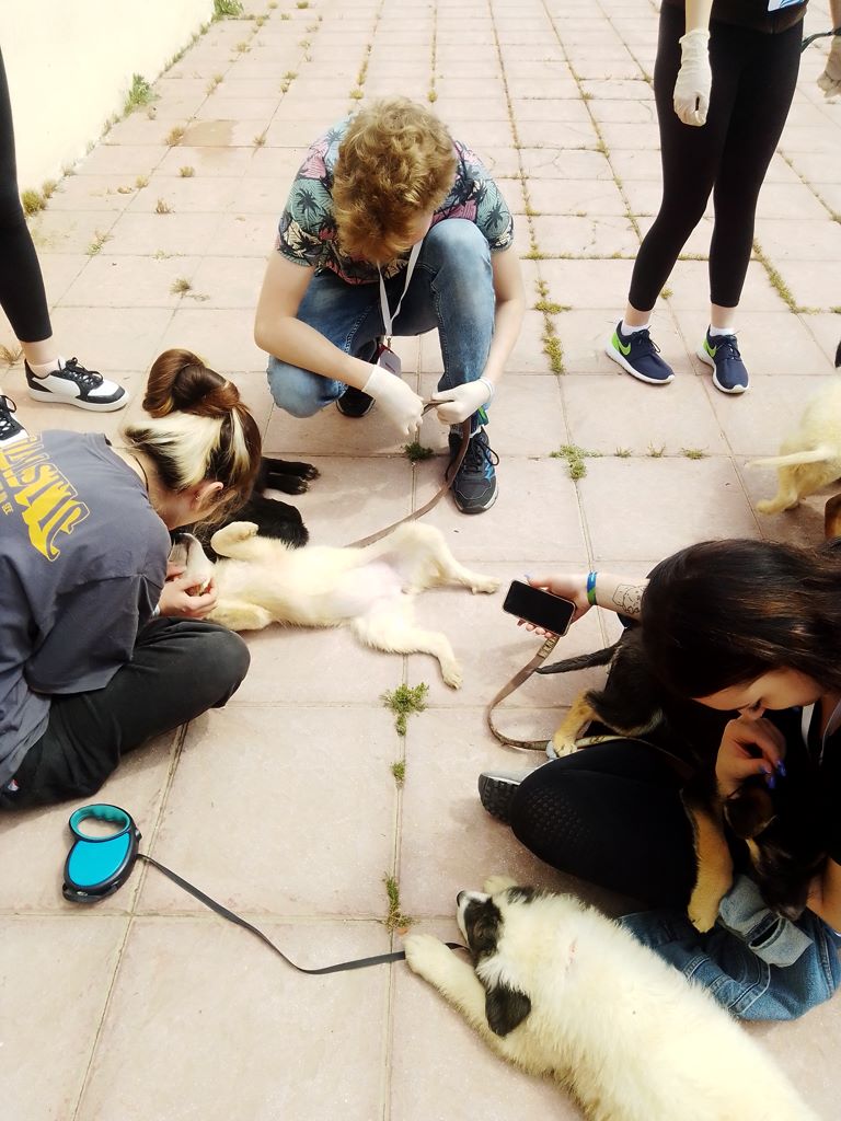 230510 dimotiko katafygio episkepsi 2