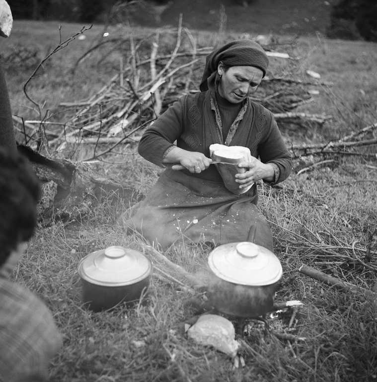 240530 mouseio sitiron