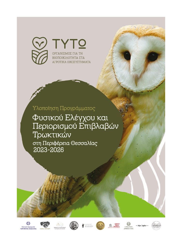 240603 imerida tyto 1