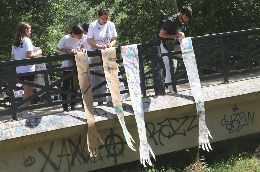 240606 imera perivallontos