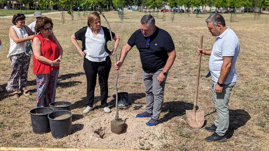 240617 dentrofiteysi