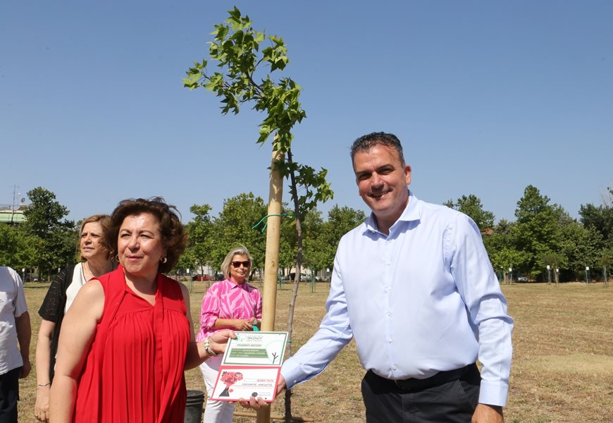 240617 dentrofiteysi