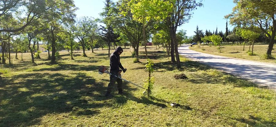 240704 aitimata politon