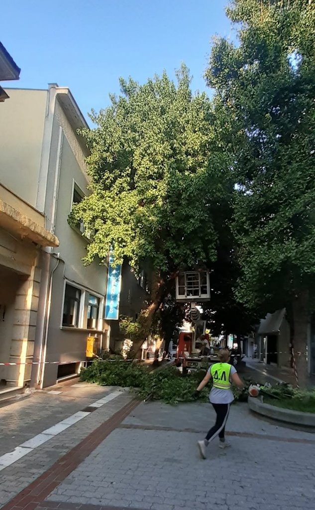 240827 dentra kladema