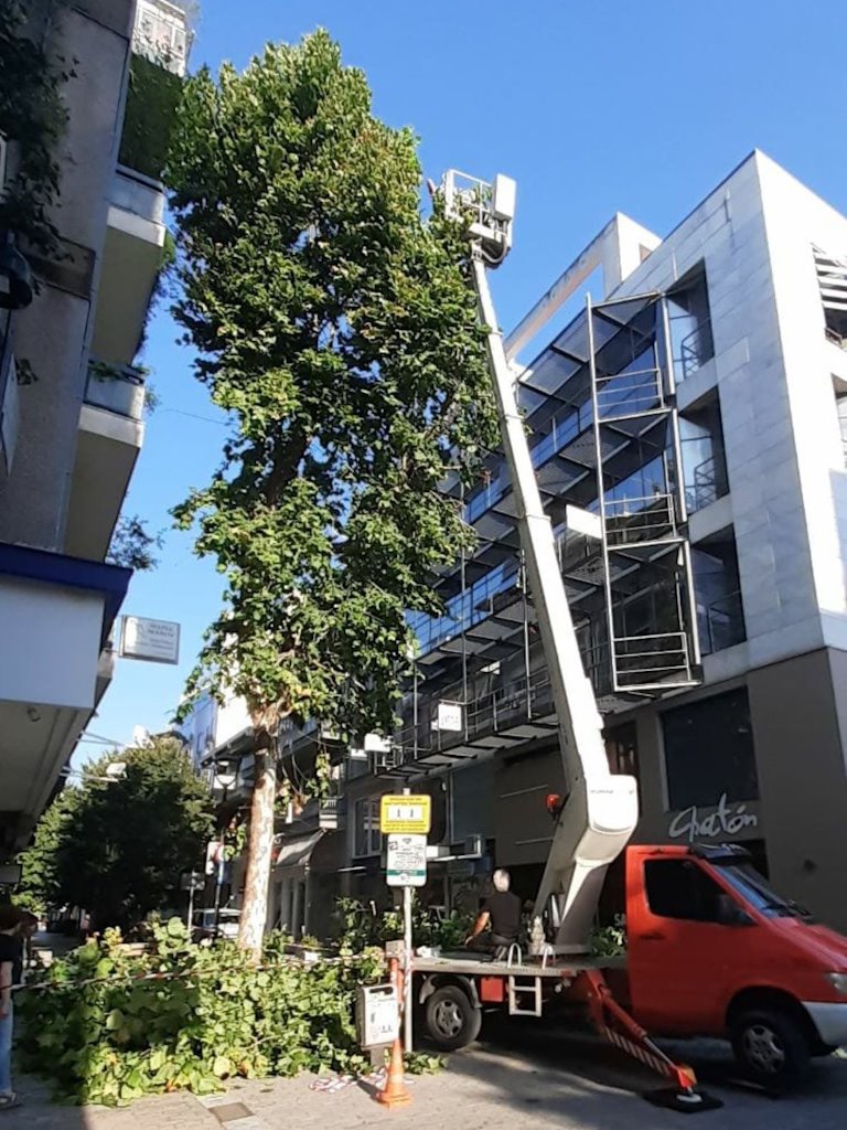 240827 dentra kladema