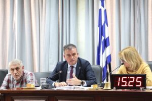 250107 dimotiko symvoulio kopi pitas