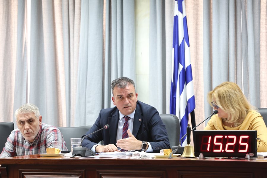 250107 dimotiko symvoulio kopi pitas