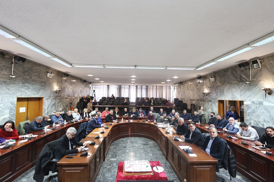 250107 dimotiko symvoulio kopi pitas