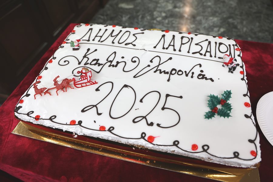 250107 dimotiko symvoulio kopi pitas