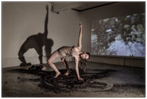 250129 kalesma open nights