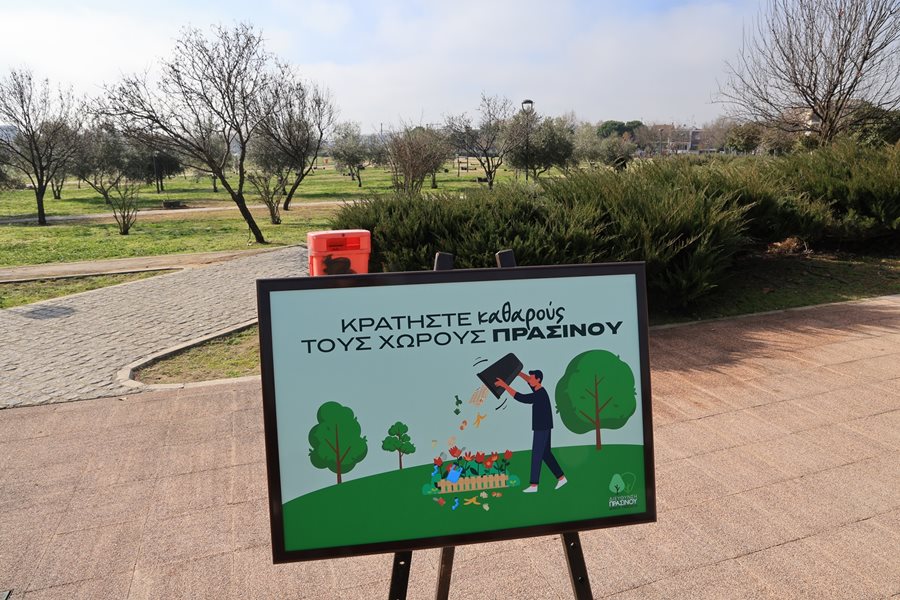 250131 xatzhxalar dentrofyteysi