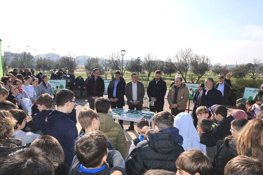 250131 xatzhxalar dentrofyteysi