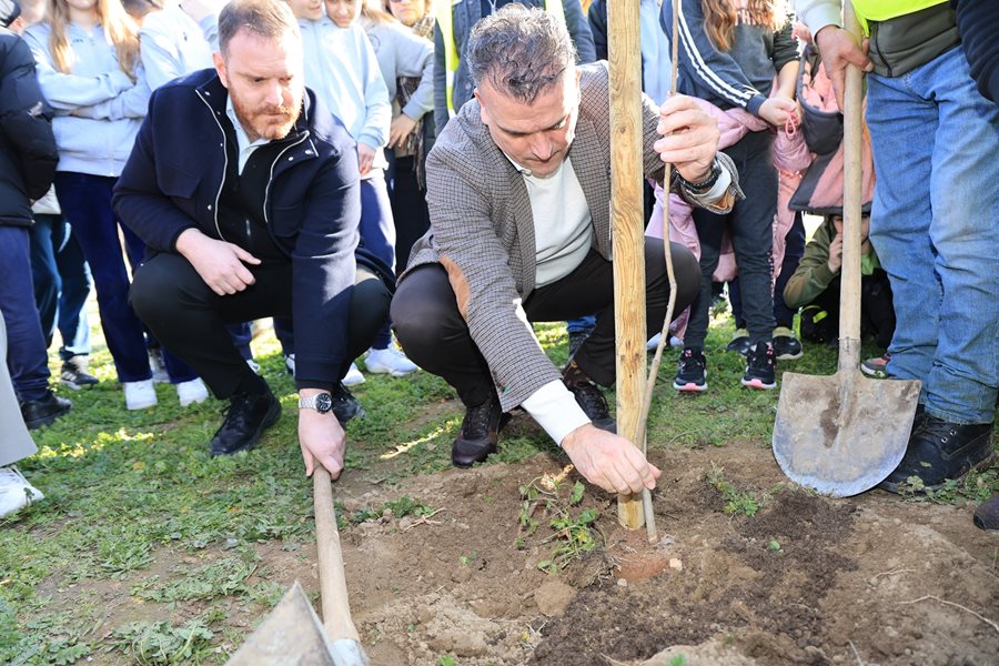 250131 xatzhxalar dentrofyteysi