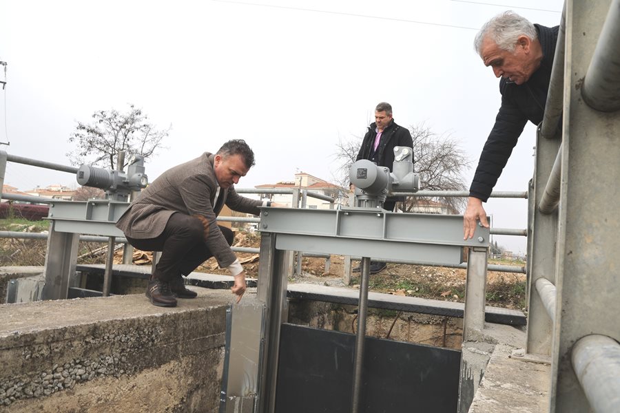 250203 thyrofragma giannoyli