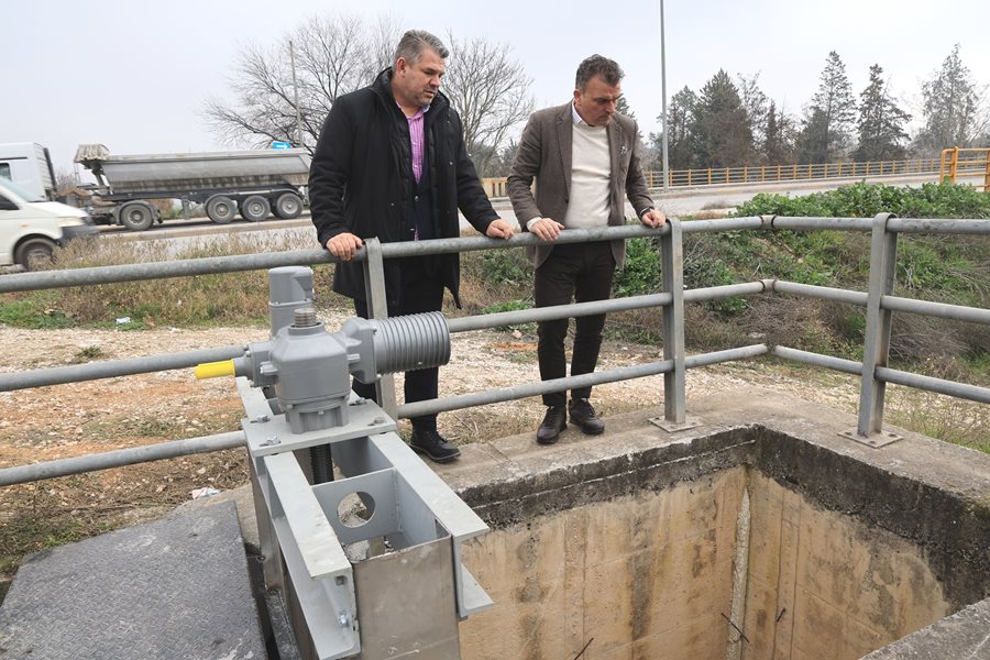 250203 thyrofragma giannoyli