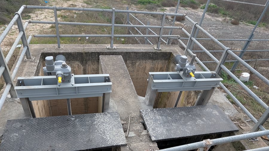 250203 thyrofragma giannoyli