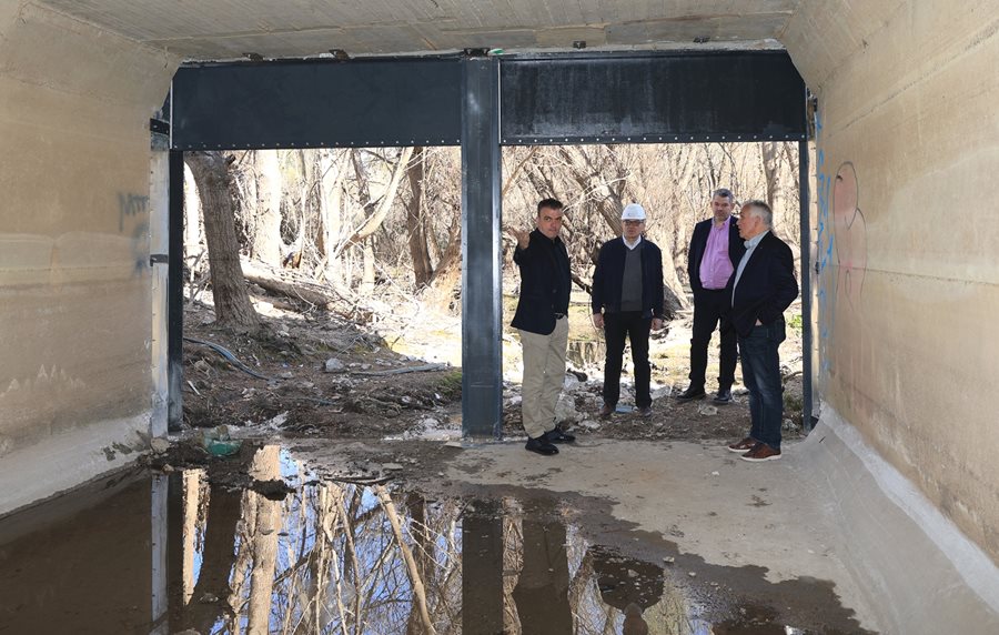 250313 thyrofragmata