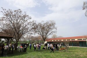 250317 dimotiko katafygio xoros proaylismou