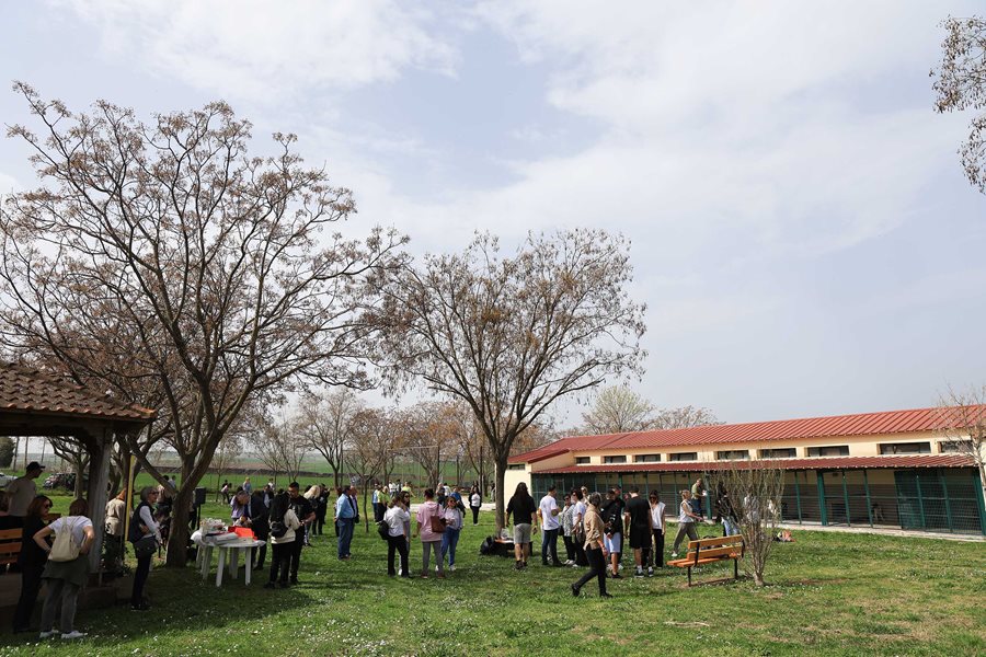 250317 dimotiko katafygio xoros proaylismou