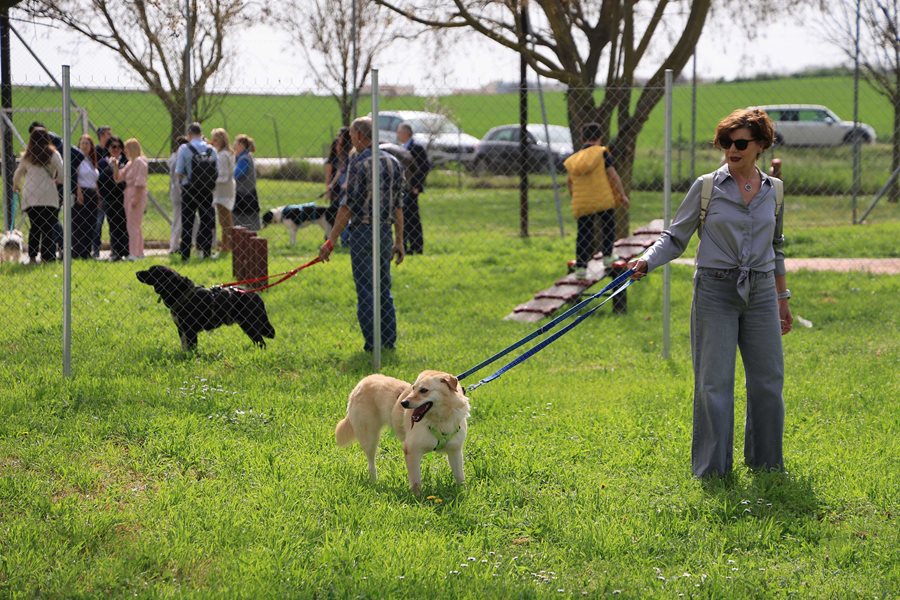 250317 dimotiko katafygio xoros proaylismou