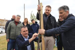 250319 dentrofyteysi giannouli