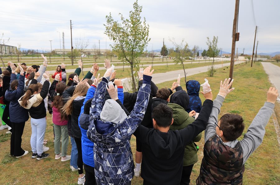 250319 dentrofyteysi giannouli