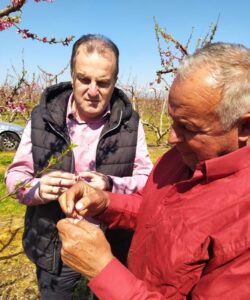 250324 Vlahoulis pagetos1