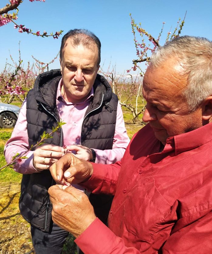 250324 Vlahoulis pagetos1