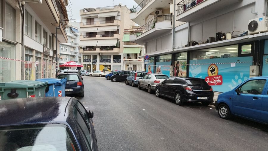 250401 plysi garivaldi