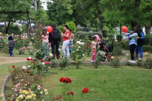 250512 giorti miteras