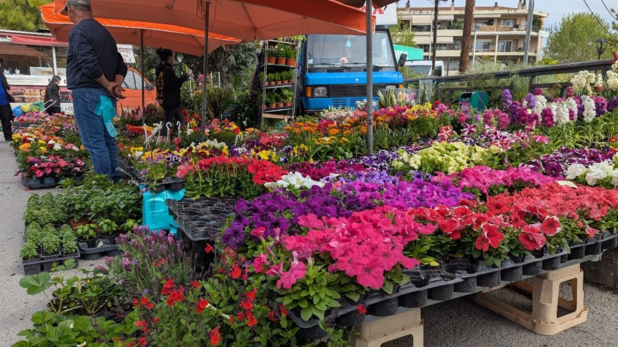 250512 laikes agores