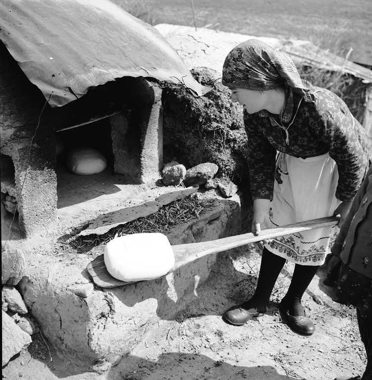 250530 mouseio sitiron fournisma