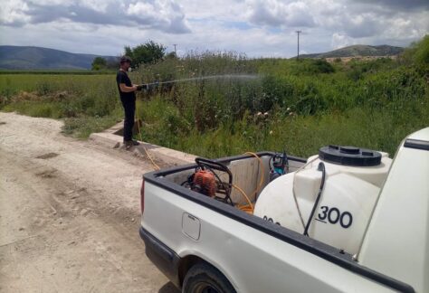 Δήμος Λαρισαίων: Σε πλήρη εξέλιξη οι εργασίες για την καταπολέμηση κουνουπιών