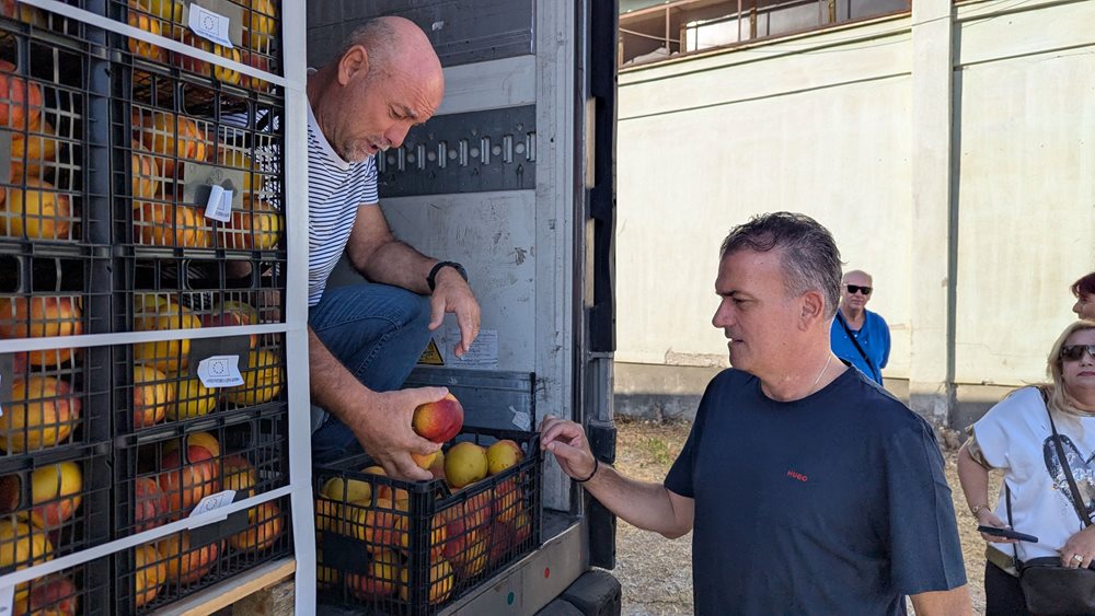Στιγμιότυπα από τη διανομή φρούτων σε πολύτεκνες οικογένειες
