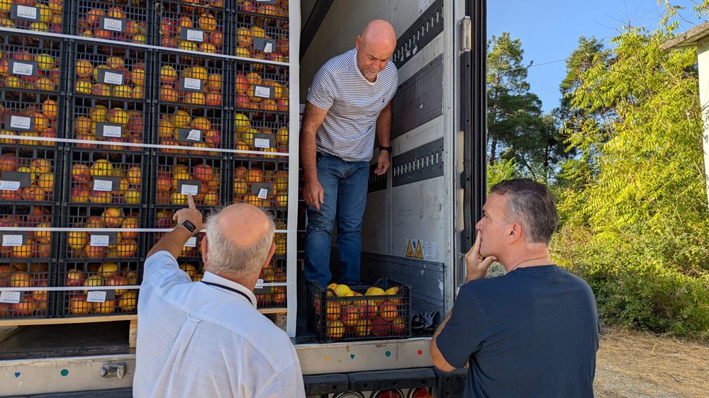 Στιγμιότυπα από τη διανομή φρούτων σε πολύτεκνες οικογένειες