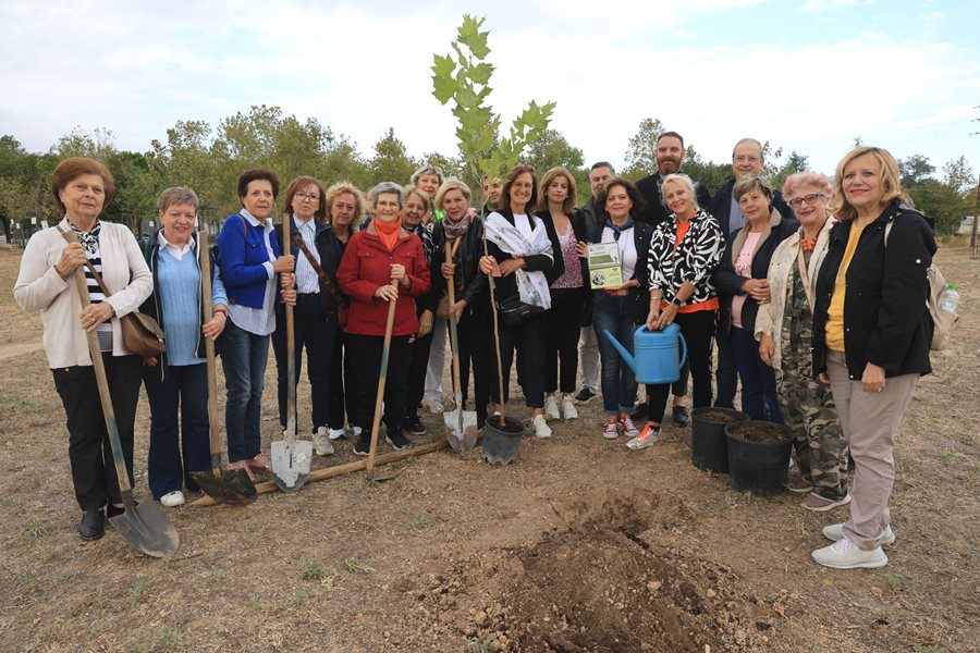 Στιγμιότυπο από την δενδροφύτευση πλάτανου στο Πάρκο Χρωμάτων (Χατζηχαλάρ)