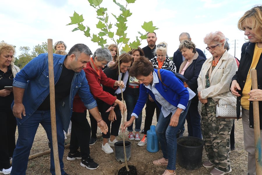 Στιγμιότυπο από την δενδροφύτευση πλάτανου στο Πάρκο Χρωμάτων (Χατζηχαλάρ)