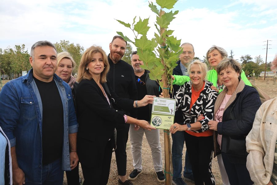 Στιγμιότυπο από την δενδροφύτευση πλάτανου στο Πάρκο Χρωμάτων (Χατζηχαλάρ)