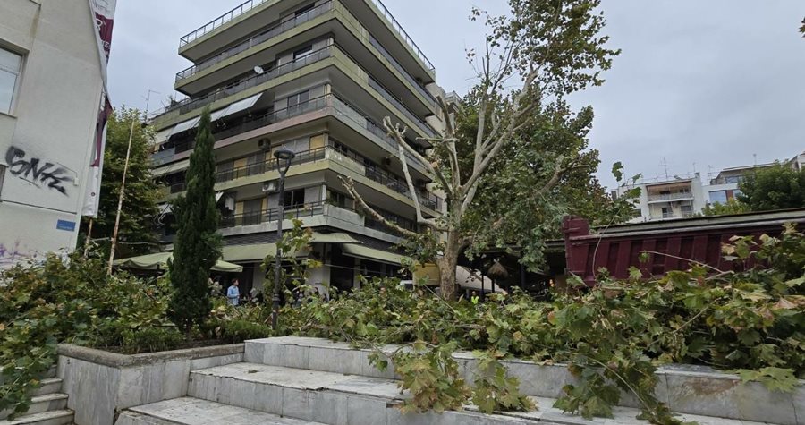 Εργασίες της Διεύθυνσης Πρασίνου στο δέντρο στην πλατεία Ταχυδρομείου