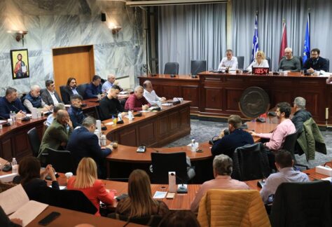Στιγμιότυπο από την συνεδρίαση Δημοτικού Συμβουλίου της 13/11/2025