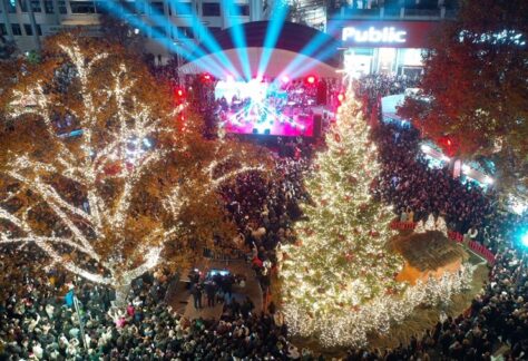 251203 larissa anamma dendrou 1