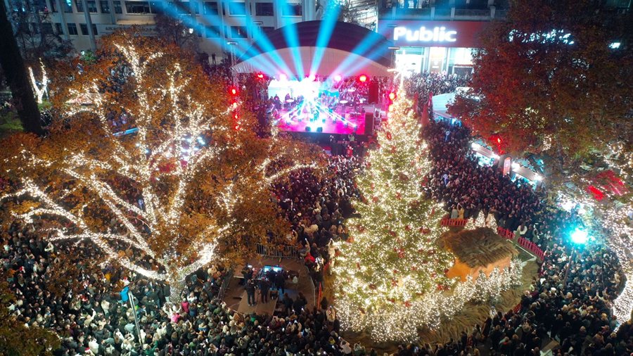 251203 larissa anamma dendrou 1