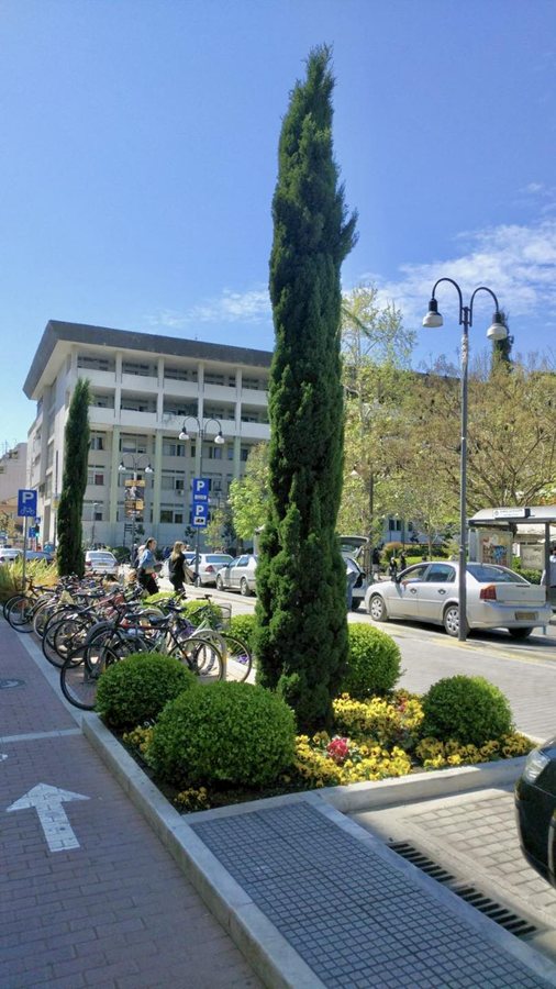 251208 kanonismos prasinou dl 1