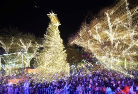 Πλήθος κόσμου μπροστά από το Χριστουγεννιάτικο δέντρο